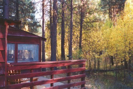 cozy comfort cabins at Gathering Light ... a retreat for nature lovers
offering tree houses, treehouses, the cottage, cabins at gathering light, a retreat offering cabins near crater lake national park and klamath basin birding trails in southern oregon. cabins, tree houses, rv camping and vacation rentals in the forest on the river near crater lake national park and klamath basin birding trails.