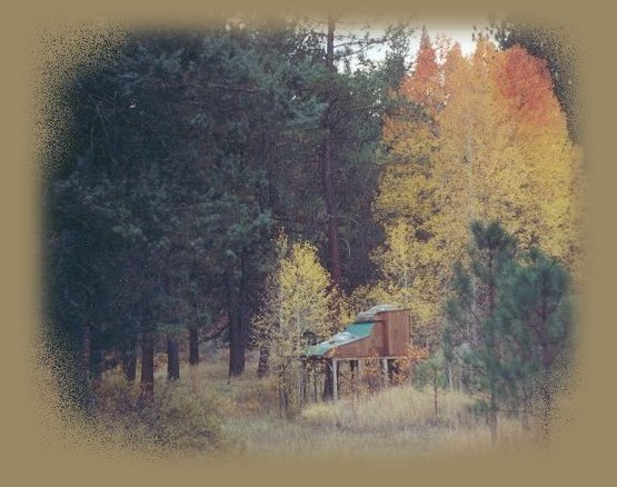 treehouses, the cottage, cabins on the river in the forest at gathering light ... a retreat located in southern oregon near crater lake national park and klamath basin birding trails. cabins near crater lake national park and klamath basin birding trails in southern oregon, try hiking, rafting, kayaking on the river near gathering light  a retreat; try our tree houses, the cottage, vacation rentals and/or rv camping.