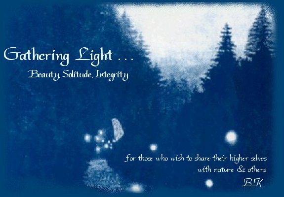 Gathering Light . . . a nature retreat. Beauty, Solitude, Integrity. For those who wish to share their higher selves with nature and others. Brad Kalita, founder of Gathering Light Retreat a nature retreat tree houses, treehouses, the cottage, cabins at gathering light, a retreat offering cabins near crater lake national park and klamath basin birding trails in southern oregon. cabins, tree houses, rv camping and vacation rentals in the forest on the river near crater lake national park and klamath basin birding trails.