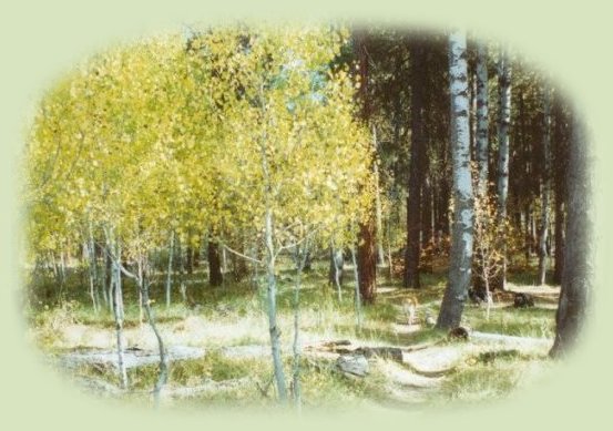 tree houses, treehouses, the cottage, cabins at gathering light, a retreat offering cabins near crater lake national park and klamath basin birding trails in southern oregon. cabins, tree houses, rv camping and vacation rentals in the forest on the river near crater lake national park and klamath basin birding trails.