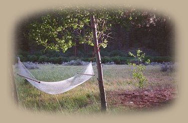 relaxing in the forest on the river: tree houses, treehouses, the cottage, cabins, rv camping and vacation rentals at gathering light ... a retreat located in southern oregon near crater lake national park and klamath basin birding trails. cabins, tree houses, rv camping and vacation rentals in the forest on the river near crater lake national park and klamath basin birding trails in southern oregon.