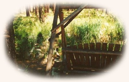 cozy comfort cabins on the river in the forest at Gathering Light ... a retreat for nature lovers located in southern oregon near crater lake national park and klamath basin birding trails. cabins, tree houses, rv camping and vacation rentals in the forest on the river near crater lake national park and klamath basin birding trails.