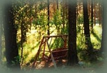 Picnic Area, swings dot the river side at the retreat.