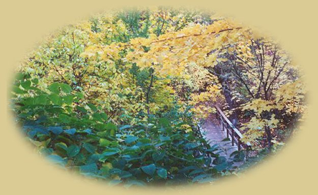 lithia park in ashland, oregon in the siskiyou mountains.
