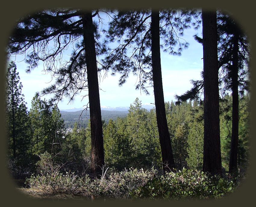 hiking without trails in the hills outside of chiloquin, oregon, not far from wood river wetlands with egrets, pelicans, grebes, and more, as it's one of the many birding trails in klamath basin, the pacific flyway, not far from crater lake national park in southern oregon - about 20 miles from crater lake national park.