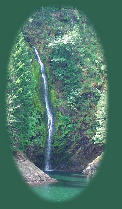 waterfall in the overflow from cougar reservoir at the entrance to terwilliger, cougar, hot springs, mckenzie river in the cascade mountains of oregon. travel oregon on the west cascades national scenic byway. hiking oregon and the waterfalls loop trails on the wild and scenic mckenzie rivers, see koosah waterfalls on the wild and scenic mckenzie rivers, sahalie waterfalls on the wild and scenic mckenzie rivers, find hiking trails in oregon on the wild and scenic mckenzie river: the mckenzie rivers national hiking trails, the waterfall loop hiking trails, see the blue pool, blue hole, hardened lava flows, the wild and scenic clackamas river, the mt hood national forest, hot springs, bagby hot springs, terwilliger hot springs, cougar reservoir, cougar hot springs, the south mckenzie river, roaring river, cougar dam, the wild and scenic north fork of the middle willamette river, travel the mckenzie pass santiam pass oregon scenic byway in the willamette national forest, and find lava flows. the cascade mountains, volcanoes, geology, hiking trails to mountain lakes, hiking trails in the mt jefferson wilderness, the three 3 sisters wilderness, the mt washington wilderness, the big bottom wilderness, the roaring river wilderness, hiking trails to waterfalls on the mckenzie pass santiam pass oregon scenic byway, old growth forests, connect with the over the river and through the woods scenic byway, hwy 20, and find hiking trails in the menagerie wilderness, the middle santiam wilderness, the south santiam river, the cascade mountains, the cascades, hiking trails in the menagerie wilderness of the willamette national forest, hiking trails in the old cascades in oregon, hiking trails located in old growth forests and amidst fields of wildflowers in the willamette national forest of oregon. hiking trails in old growth forests are included in the following: the santiam old wagon road, pyramid hiking trail, rooster rock hiking trail, iron mountain hiking trail, tombstone pass hiking trail, chimney peak hiking trail, gate creek hiking trail, cone peak hiking trail, huckleman old growth hiking trail, house rock hiking trail, hike in the 3 three sisters wilderness on french pete creek. camping at paradise campground with lovely old growth trees, at clear lake campground, at fernview campground, house rock campground, lost prairie campground; trout creek campground.