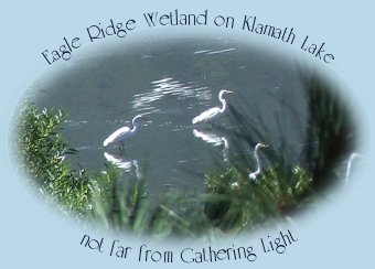eagle ridge wetlands on klamath lake in klamath basin near gathering light ... a retreat in southern oregon near crater lake national park: cabins, treehouses on the river in the forest.