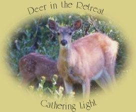 deer in the retreat: gathering light ... a retreat located in southern oregon near crater lake national park: cabins, treehouses in the forest on the river.