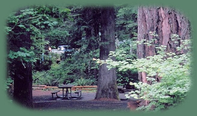susan creek campground in the susan creek recreation area on the wild and scenic umpqua river; enjoy camping in the umpqua national forest and hiking trails to waterfalls in the wild and scenic umpqua river watershedt: brice creek waterfalls, moon waterfalls, pinard waterfalls, spirit falls; hiking trails off the Rogue Umpqua Scenic byway on the wild and scenic umpqua river in the umpqua national forest: toketee waterfalls, watson falls hiking trails, fall creek falls, susan creek day use area, susan creek hiking trails, susan creek campgrounds off the rogue umpqua scenic byway, toketee campgrounds off the rogue umpqua scenic byway, lemolo campgrounds off the rogue umpqua scenic byway, diamond lake campgrounds, boulder creek campgrounds, canyon creek campgrounds, umpqua national forest campgrounds, clearwater falls campgroud, island campgrounds, lake in the woods campgrounds, bogus creek campgrounds, apple creek campground, steamboat falls campground, williams creek and eagle rock campgrounds, horseshoe bend and canton creek campgrounds, devil's campground on cow creek, cedar creek campground on brice creek, rujada campground on layng creek, whitehorse falls and clearwater falls campgrounds, susan creek waterfalls, north umpqua river, south umpqua river, umpqua river hiking trails accessed off the rogue umpqua scenic byway, forest service campgrounds, blm campgrounds, cavitt creek recreation area, deadline falls, steelhead in the umpqua river, angling, hiking trails to lemolo waterfalls, clearwater waterfalls, whitehorse waterfalls, clearwater river, toketee lake, umpqua hot springs, steamboat creek waterfalls, warm springs waterfalls, lemolo lake; hiking trails on the little river in the umpqua river watershed in the umpqua national forest: wolf creek waterfalls, grotto falls, hemlock waterfalls, hemlock lake, cavitt creek waterfalls, recreation area, shadow waterfalls, yakso waterfalls; hiking trails on the south umpqua river watershed: south umpqua waterfalls, campbell waterfalls, hiking trails in theboulder creek wilderness area, hiking trails in the mt thielsen rogue umpqua divide wilderness area, cathedral waterfalls off the south umpqua river; hiking trails in the row river watershed: moon, spirit and pinard waterfalls.