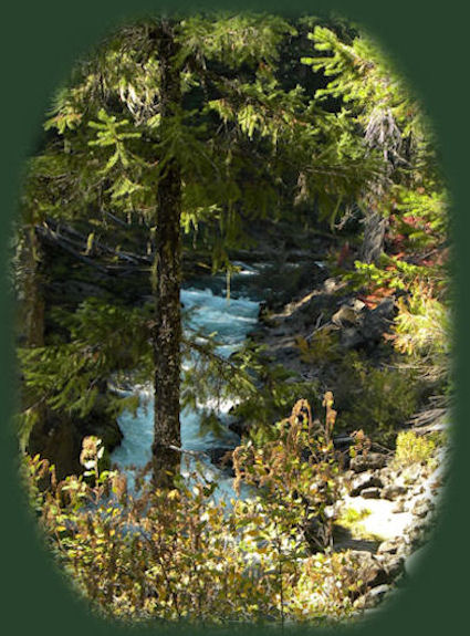 the rogue river above the rogue river gorge at union creek, oregon, off the crater lake hwy.