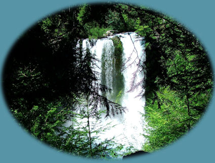 Sahalie Waterfall on the wild and scenic mckenzie river, hiking the waterfalls loop tour on the mckenzie river national recreation trail.